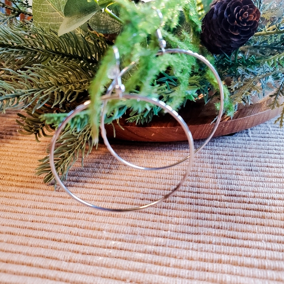 Stainless Steel Hoop Earrings - Picture 3 of 4